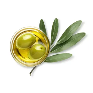 Olive vierge produttore di alta qualità e fornitori di olio Extra vergine di oliva 3oz sfuso bottiglia di olio d'oliva