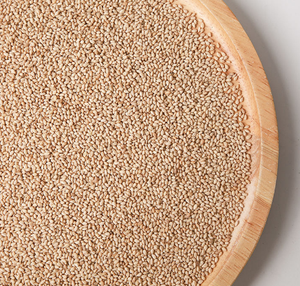 Semillas de sésamo secas sin cáscara tostadas procesamiento crudo para uso alimentario | Calidad Premium de Vietnam | Exportación al por mayor - Product Image 4