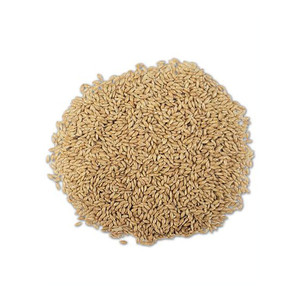 Vente en gros d'emballages en vrac de graines des Canaries disponibles en usine à faible coût - Product Image 2