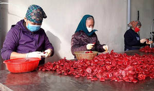 Polvo de Cochinchinensis Momordica agrícola sostenible, para cocinar Arroz pegajoso y postres, 2023 de vietnamita, nuevo cultivo - Product Image 2