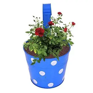 Luxe Design Metalen Plantenbak Pot Decoratie Bloemenplant Potten Voor Balkon En Tuin Versieren Item Best Verkopende Product