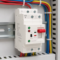 Saklar Transfer Otomatis AC 220V 2P PC ATS 63A 50Hz Pemasangan Rel DIN Saklar Pengalih Daya Ganda untuk Panel Surya