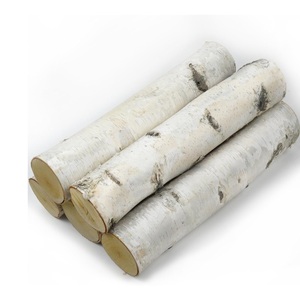 Troncos de abedul-Directo del bosque, precios al por mayor - Product Image 1