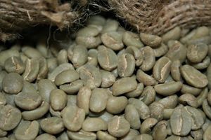 Granos de Café Verde Arábica Orgánico Especial, Tamaño 18, 100% Natural, Alta Calidad AA+, Vietnam, Venta al por Mayor Directa de Fábrica, USDA - Product Image 3