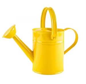 Canne à eau de concepteur la plus populaire de couleur jaune vente chaude canne à eau en métal maison et jardin décoratif prix abordable - Product Image 2