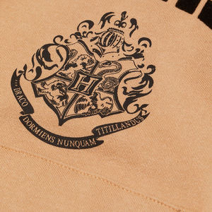 Sweat à capuche en coton pull personnalisé de haute qualité Streetwear vêtements de mode surdimensionnés pour enfants sweats vierges en gros tricotés - Product Image 6