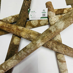 หลอดอบเชย Kayu Manis ขายส่ง zimtstange หลอดอบเชยแบบส่งตรงจากผู้ผลิตในเวียดนาม - Product Image 1