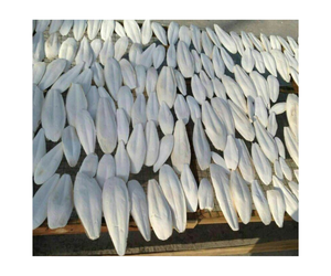 2024 Venta al por mayor de hueso CUTTLEFISH de VIETNAM 100% Fabricante en Vietnam Comida para pájaros Grado 13% Comida para loros Comida para reptiles - Product Image 1