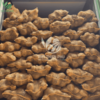 Hoge Kwaliteit Verse Kokosnoot Rechtstreeks Uit Vietnam Semi/Gepeld Fruit Directe Levering
