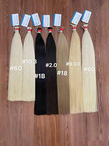 2025 Prêt à Expédier Couleur Cheveux En Vrac Vietnamien Couleur De Cheveux En Gros Cheveux Grand Stock - Product Image 6