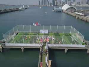 LDK equipos deportivos Venta directa de fábrica personalizada al aire libre jaula de fútbol para el entrenamiento de fútbol jaul - Product Image 2