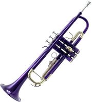 Trompette de fanfare durable BB avec étui et embouchure, instrument professionnel en laiton de qualité supérieure