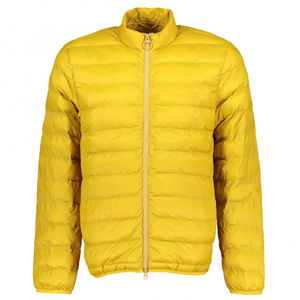 Chaqueta Acolchada con Capucha para Hombre, Impermeable, Cortavientos, Térmica, Abrigo de Invierno, Venta al por Mayor Directa de Fábrica, Logotipo Personalizado, ODM, OEM, Moderno - Product Image 1