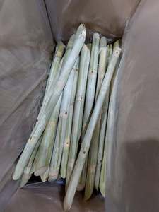 แท่งอ้อยแช่แข็งส่งออก | สารให้ความหวานอินทรีย์บริสุทธิ์ฉลากสะอาดจากเวียดนาม - Product Image 3