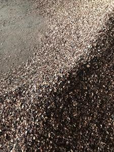 แกลบเม็ดมะม่วงหิมพานต์ส่งออกจากโรงงานเวียดนาม - Product Image 5