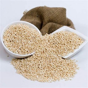 Semillas de Colza Orgánica (Grano de Colza) Garantizadas para Cultivo Orgánico en Venta a Precios Competitivos - Product Image 2