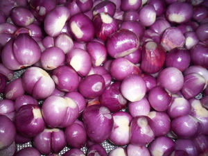 Échalotes pelées congelées/INGRÉDIENT NATUREL/APPROVISIONNEMENT LÉGUMES DE QUALITÉ D'EXPORTATION/PRÊT À L'EMPLOI - Product Image 6