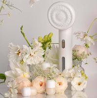 Ensemble de soins de la peau coréen, filtre de douche à la vitamine C, purificateur d'eau, utilisation hôtelière, design moderne, capsule aromatique murale