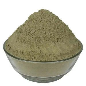 Poudre de feuilles naturelles Patil Foods pour le soutien immunitaire : Adusa, Adoosa, Vasa, Adhatoda Vasica Nees, Noix de Malabar, Bansa Hara - Product Image 1