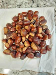 Noix de macadamia grillées de qualité, noyaux biologiques en vrac avec coquille de qualité supérieure, noix séchées brutes saines à prix premium - Product Image 2