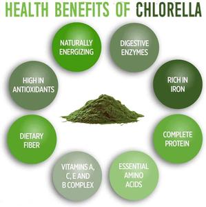 クロレラ粉末クロレラ,スーパーフードクロレラ抽出物60% タンパク質 - Product Image 6