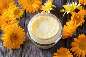 Extrait d'herbes sauvages de résine de Vitellaria Paradoxa avec beurre de karité - Product Image 1