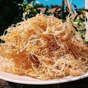 Natural Organic <b>Sea</b> <b>Moss</b> Bulk Order Best Price - Product Image 1