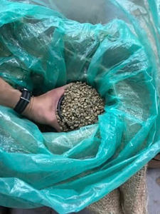 HANCOFFEE Vietnam Nouvelles récoltes les plus récentes Café vert Robusta de qualité 3 le moins cher - Meilleur prix Grains non torréfiés - Échantillon gratuit - Product Image 2