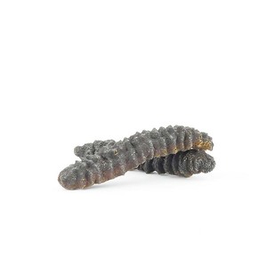 Giá cả phải chăng dưa chuột biển khô cho xuất khẩu và số lượng lớn người mua - Product Image 5