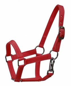 Wholesale Durable Nylon <b>Horse</b> Halter Adjustable Comfortable Training Headcollar Strong <b>Horse</b> Gear Bulk Equestrian Tack Factory - Product Image 4