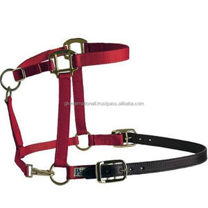 100% Material Original correas de nailon grueso caballo de nailon Halter de alta calidad último diseño carreras de caballos Halter y accesorios - Product Image 2