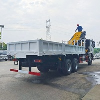 Grúa Nueva Montada en Camión, Grúas para Camión, Grúa Todoterreno en Venta