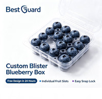 Emballage de vente au détail personnalisé en blister pour boîte de fruits bleuets, plateau en blister transparent en PET pour la présentation de fruits frais en supermarché