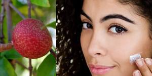 Beurre de Kokum biologique de haute qualité en vrac pour usage commercial Fabricant et fournisseur d'huile de lotion blanchissante pour cosmétiques - Product Image 5