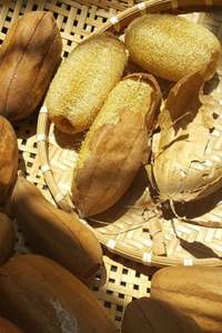 100% Organic Loofah Whole Sustainable, Natural <b>Exfoliation</b>, High Quality From VIET FARGIMEX - Product Image 3