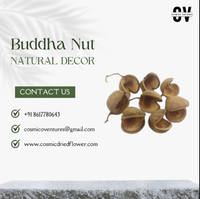Bunga Kering Kosmik Alami, Biji Buddha Klasik Elegan Rustic Berkualitas Tinggi, Seperti Asli, Ramah Lingkungan, Dekorasi Pernikahan