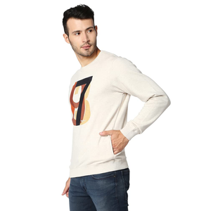 Custom Printed Logo Knitted Men's Crew <b>Neck</b> Pullover Sweatshirt Eco-Friendly Breathable Export Quality Hoodie for Winter - Product Image 5