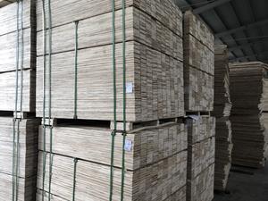 Bois lamellé-collé LVL, âme en eucalyptus, pour meubles et construction, qualité supérieure, 11-120 mm - Product Image 1