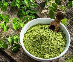 PUISSANCE MORINGA DE HAUTE QUALITÉ DU VIETNAM/ HOT DEAL 2025 EXPORTATION DE PUISSANCE MORINGA DU VIET NAM - Product Image 3