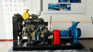 ปั๊มน้ำไฟฟ้าเป็นปั๊มแรงเหวี่ยงแนวนอนสำหรับน้ำสะอาดปั๊มน้ำการเกษตรขั้นตอนเดียวเพื่อการชลประทาน - Product Image 2