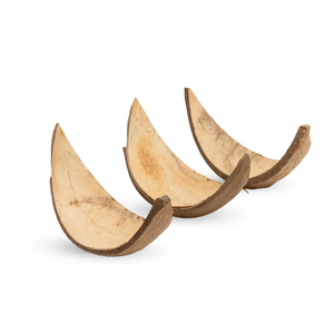 Barquettes de service artisanales écologiques en coque de noix de coco moyenne pour collations, amuse-gueules et friandises festives – Lot de 10 du Vietnam - Product Image 2