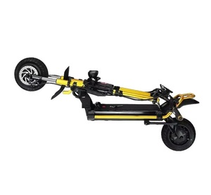 สกู๊ตเตอร์ไฟฟ้า Wolf King GTR 12 นิ้ว 72V 35Ah 2000Wx2 แรงทรงพลัง รับผลิตแบบ OEM/ODM ปรับแต่งได้ รับประกัน 3 ปี - Product Image 1