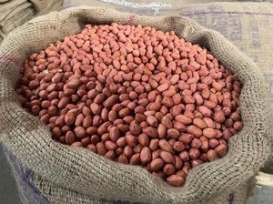 Haute qualité 50/60 cacahuètes gras arachides 100% fournisseur en vrac naturel pour les applications alimentaires et industrielles - Product Image 6