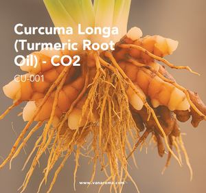 Curcuma Longa Pura Natural Orgánica (Aceite de Raíz de Cúrcuma) - CO2 (CU-001) Van Aroma - Product Image 1