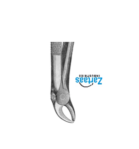 Fórceps de extracción de acero inoxidable de alta calidad Fig 5 exportadores y fabricante - Product Image 5