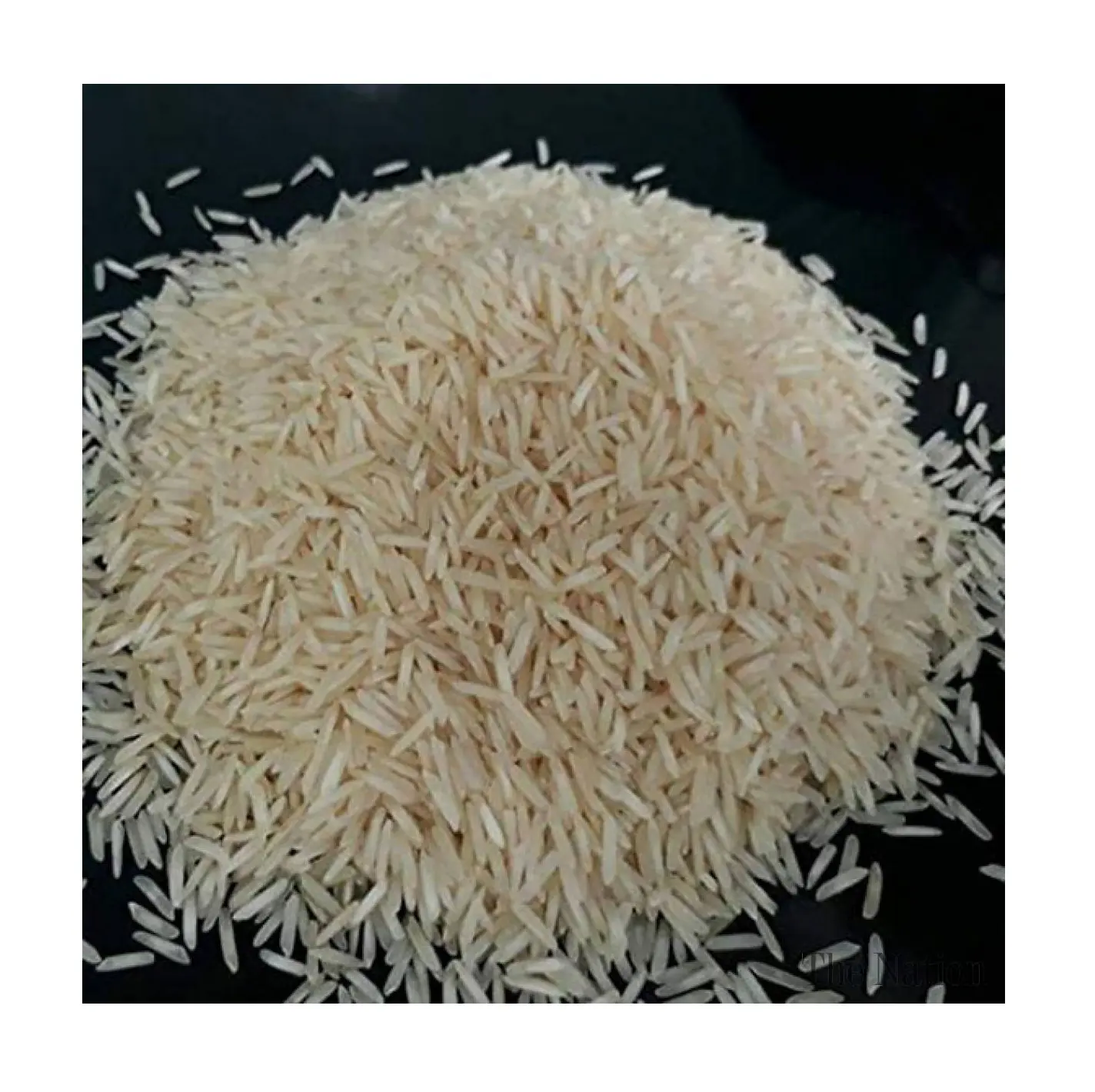 Grosir pemasok stok segar untuk beras Basmati gandum panjang