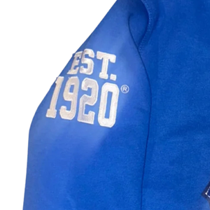 Pull à col montant Zeta Phi Beta 1920 pour femmes, sweat-shirt en molleton brodé en chenille de la sororité grecque - Product Image 4