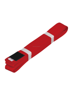 R ceintures Arts martiaux Ceintures de rang Coton Judo Karaté BJJ Ceintures de Taekwondo - Product Image 6