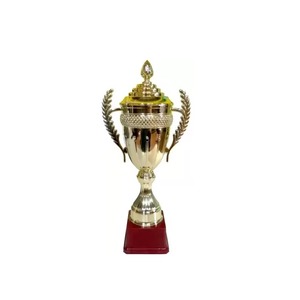 Yüksek kaliteli Metal kupa özel olay spor folyo kupa bardak cilalı pirinç spor temalı Metal modeli iş hediyeler için
