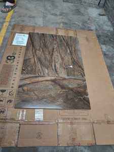 Carrelage de sol moderne en granit brun forêt tropicale pierre naturelle polie pour intérieur de villa et intérieur d'hôtel de luxe - Product Image 3